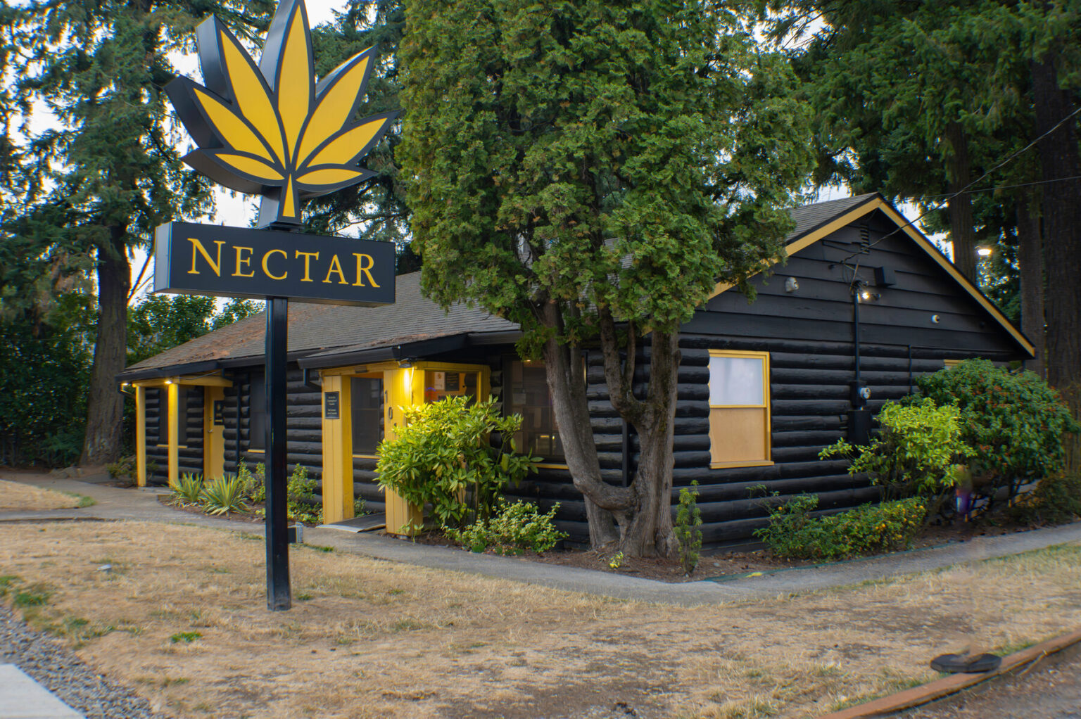 Locations Nectar Near Me Dispensaries Near Me