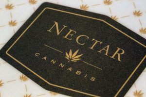 Nectar L2R Limited Edition Snowboard