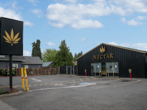 nectar stores near me