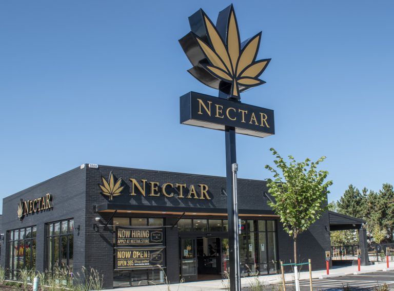 nectar dispensary financial statement