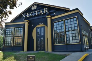 Nectar Beaverton Regatta