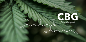 Cannabigerol (CPG) cannabinoid compound