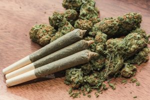 joints were the most popular item in Spanish cannabis clubs