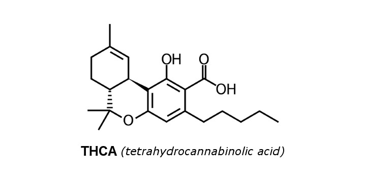 THCA: The Amazing Transforming Cannabinoid And #1 Maker Of THC | Nectar