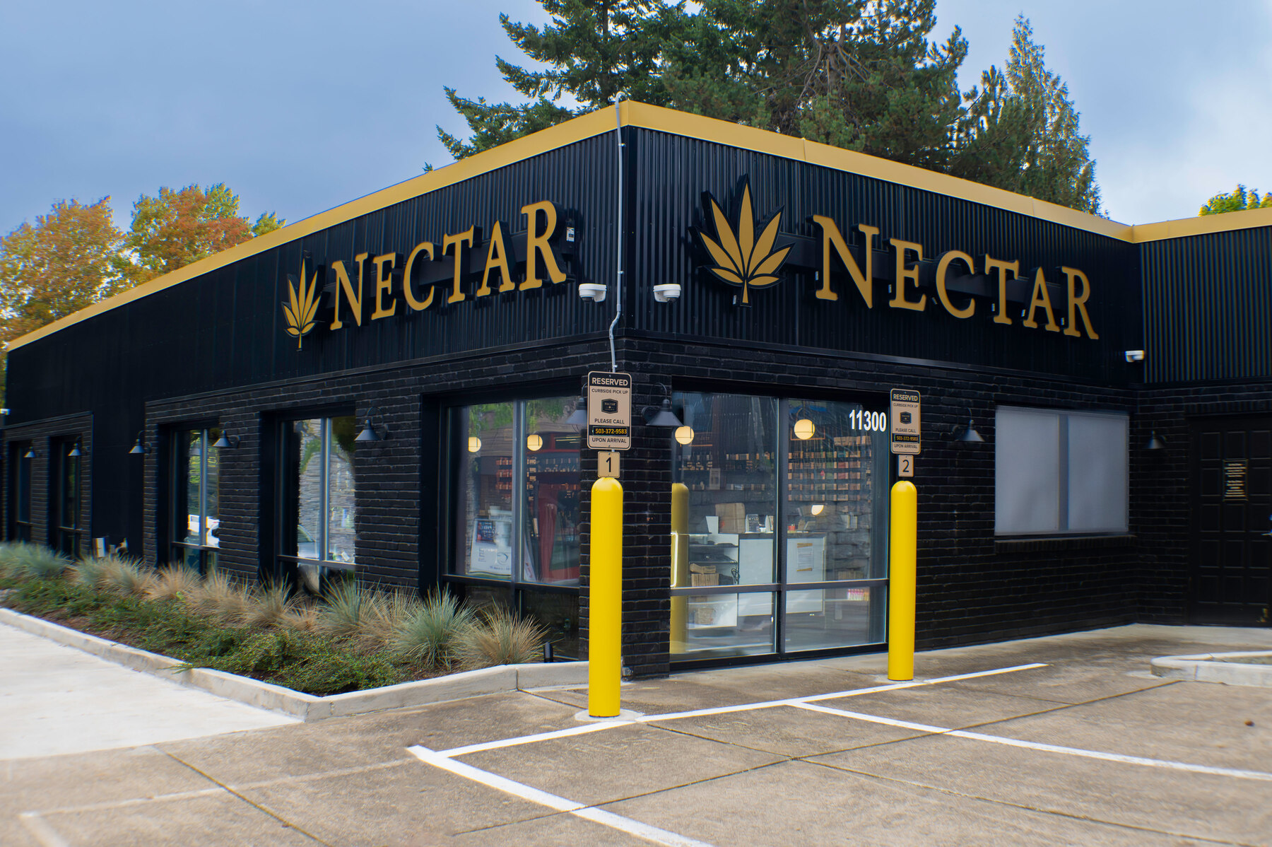Indica - Eighth - Dante Wrath - Mahalo at Nectar - Tigard Bull