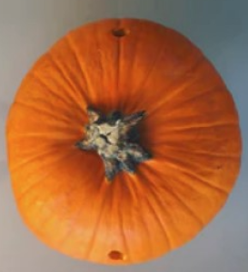 Pumpkin Bong Step 3