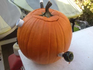 Finished pumpkin Bong 