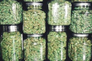 Glass Jars for proper cannabis storage 