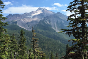 An example of the amazing Oregon Environment