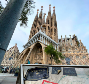 Barcelona is a hub in Spain for cannabis clubs 