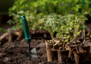 gardening is a fantastic stoner hobby to enjoy the sunshine