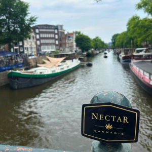 One of Amsterdam's many canals