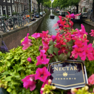 Nectar badge in Amsterdam